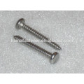 DIN7981stainless steel philips pan head self tapping screw, pan head screw DIN7981